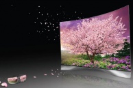 Новые телевизоры LG 4K OLED